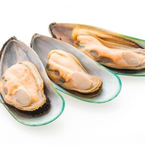 Frozen Shell & Clam Products