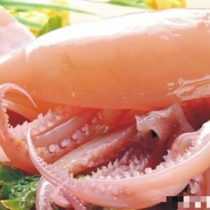 Brown Squid Slice